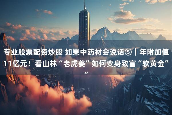 专业股票配资炒股 如果中药材会说话⑤｜年附加值11亿元！看山林“老虎姜”如何变身致富“软黄金”